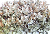 50 handmade paper flowers